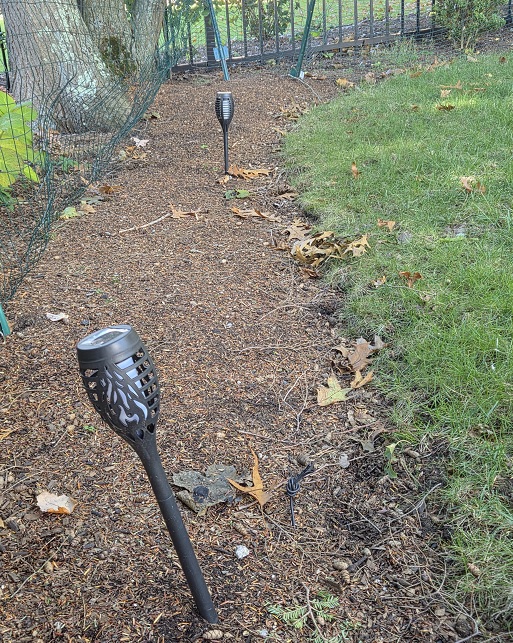 Solar garden lamps along a mulch path beside the lawn